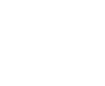 DM Consult